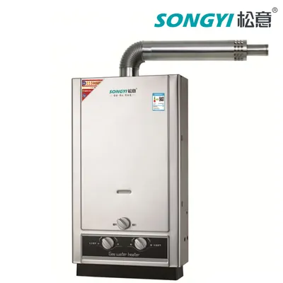 Superior Quality Gas Heat Energy Home Appliance System Gas Boiler Balance Hermetic Gas Heater