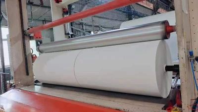 White Mother Roll for Sanitary Napkin Towel Serviette Handkerchief Raw Material
