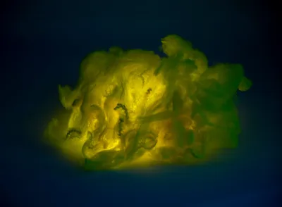 Hollow Conjugated Siliconized Polyester Staple Fiber PSF