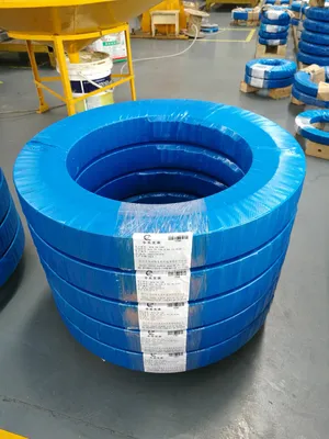 Slewing Ring Bearing with Large Size for Wind Turbine of European Standard, German Standard