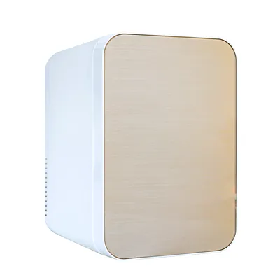 4L/6L/8L/10L Commercial High Quality Cosmetic Electric Refrigerator with Mirror Beauty Small Refrigerator