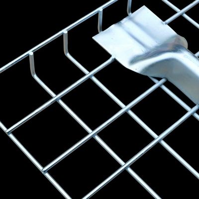 Wire Mesh (Y6J7285)