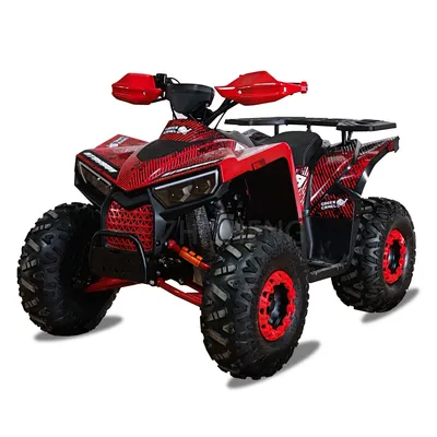 New Adult ATV 4 Wheels Motorcycle 110cc 125cc 150cc ATV with CE