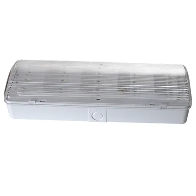 Test Button IP20 LED Wall Surface Mounted Emergency Rechargeable Light