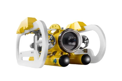 Miniature Flying Fish Underwater Robot