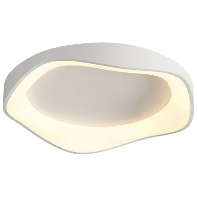 Warm White Living Room Bedroom Indoor Lighting Modern Panel Ceiling Lights LED Ceiling Lamp
