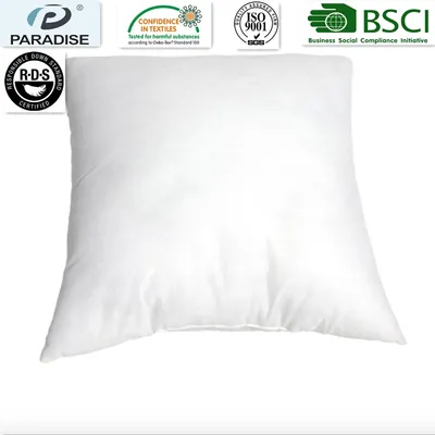 Non-Woven Cover Decorative Pillow Insert Square 19X19 Inch Sofa Throw Pillow