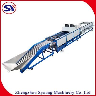 Garlic Onion Orange Cherry Tomato Grader Fruit Selecting Machine for Farm