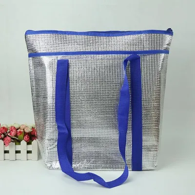 Plain Design with PVC Pocket Cooler Handbag