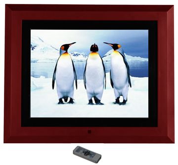12" Digital Photo Frame (DPF1210AAN-R5)