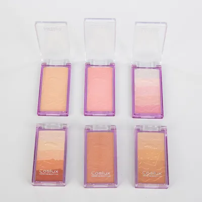 Long-Lasting Blush Cheeks Cruelty Free Customized Logo Makeup Cheeks OEM ODM