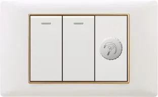 PC 2 Gang 1 Way Electrical Walll Switch with Fan Speed Controller
