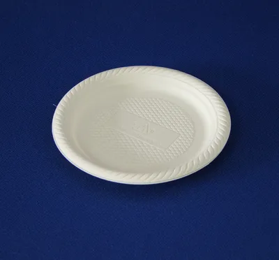 Disposable Plastic Plate (THP-33)