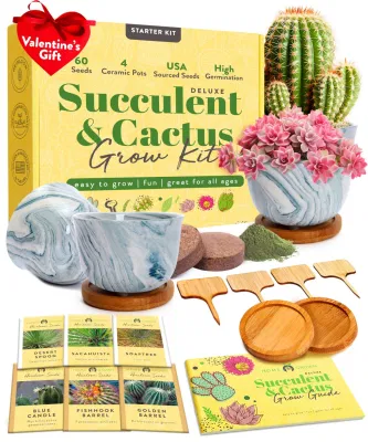 Home Grown Deluxe Indoor Ceramic Pots Seed Succulent Cactus Grow Kit with Water Drip Trays