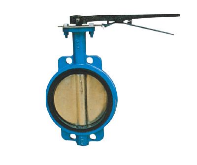 Class 125 Butterfly Valve