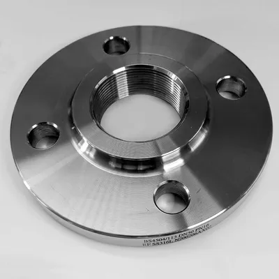 316L Stainless Steel Forged Flange