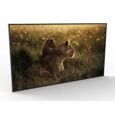 50-Inch Interactive Smart Touch Screen Wall Display Solution