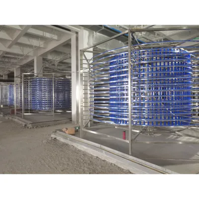 High Production Capacity Customizable Automatic Spiral IQF Freezer for Fruits Vegetables