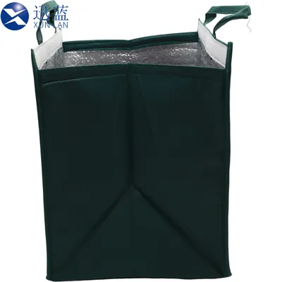 Custom Reusable Soft for Frozen Cold Chain Shipping Mailer Heat Insulation Bag