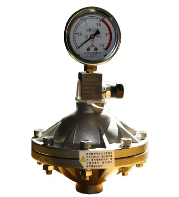 PP / PVDF/ SUS316L Material Chemical Dosing Metering Pump Parts 1.0L Pulsation Damper