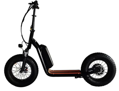 New Model 16inch Fat Tire E Bike 48V 500W Electric Bike Bicycle