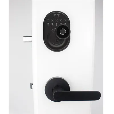 Black Color Tuya APP Fingerprint Unlock Leverset Lock