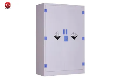 High Quality Standard Safety Cabinets 60 Gallon for Corrosives Made in China