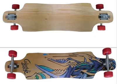 Long Board Skate Board Road Skateboard