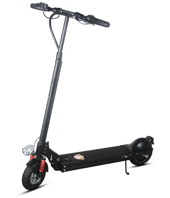 Green Power Electric Scooter/Foldable/for Adult