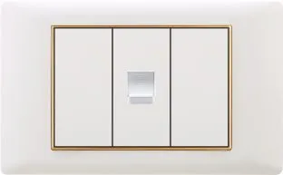 118 Type Gold Frame PC Computer and Telephone Socket