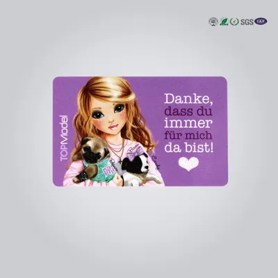 RFID Classic 1k Plastic Printing Membership Loyalty Card