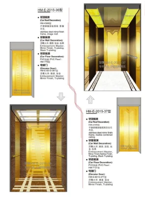 Hotel /Home Elevator for China Supplier