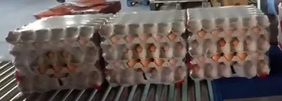 Automatic PVC PE Film Heat Shrink Tunnel Packing Water Bottle Wrapping Shrink Wrapping Machines