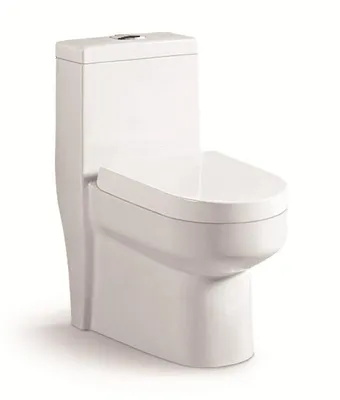 Sanitary Ware Bathroom Matte Water Closet Poecelain Matte One Piece Toilet