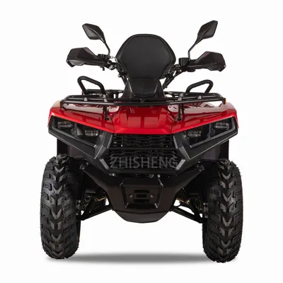 Big Adult ATV Chain Drive Quad ATV 200cc 250cc ATV off Road 2 Seaters ATV