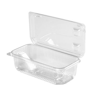 Clear Rectangular Plastic Container with Hinged Lid PP10