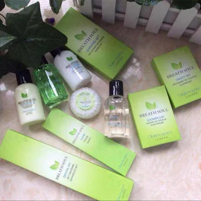 Guest Hotel Amenities with Nice Printed Box in High Quality