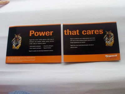 Voice Greeting Cards (ZX006)
