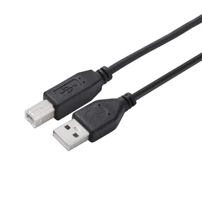 Premium USB 2.0 a to B Male Cable for Reliable Printer Connectivity