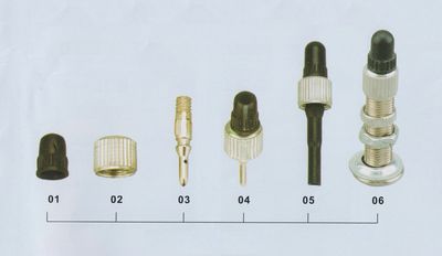 Bicycle Valve-E/V