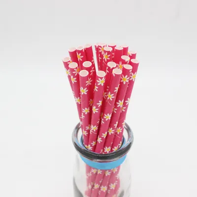 Biodegradable Floral Pattern Paper Straws for Summer Parties
