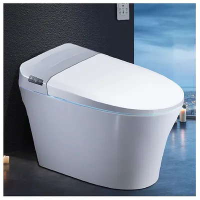 Sanitary Ware Water Closet Smart Wc Toilet Bowl Set
