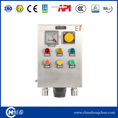 Explosion Proof Control Box /IP68/Bt4/CT4/Bt6/CT6
