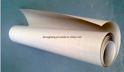 PTFE Coated Fabric for Grinding Wheel and Cutting Wheel (Factory ISO9001)