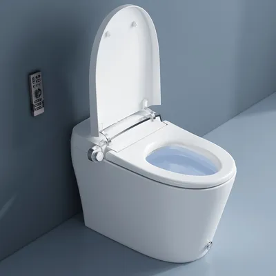 Sanitary Ware Intelligent Toilet with Remote Control