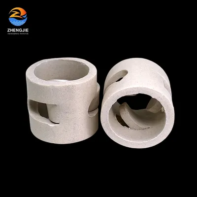 Manufacturer Rondam Packing Ceramic Pall Ring for Tower Packing