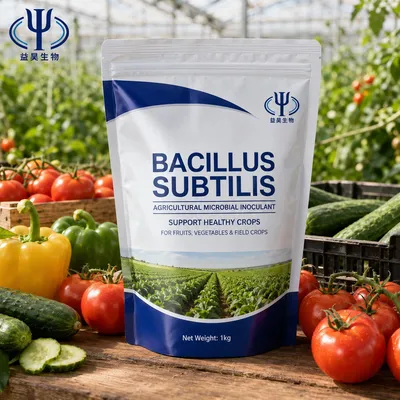 Biofertilizer Raw Material for Crop Root Rot Prevention Bacillus Subtilis Microecological Powder