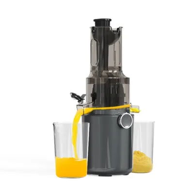 New Arrival Great Qualified Multifunctional Automatic Orange Slow Juicer Wholesale From China