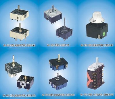 Energy Regulator