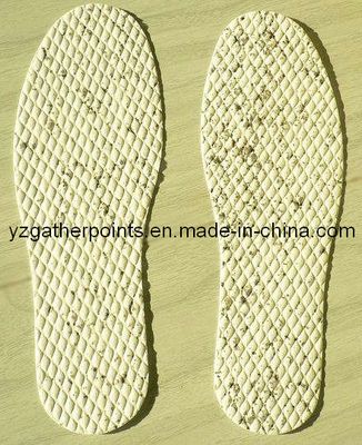 Shoe Insole